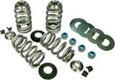 Harley-Davidson FLSTNSE 1800 Softail Deluxe CVO [2014-2015] - Endurance Beehive valve spring set for Screamin' Eagle heads - picture 3