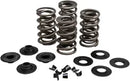 Buell S 2 T 1200 Thunderbolt [1995] - Econo Beehive® valve spring kit - picture 12