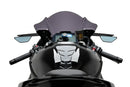 BMW S 1000 RR [2025] – Z-Racing Screen – Tinted-5