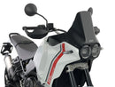 Ducati Desertx [WRS] - Windschild-1