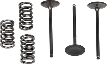 Yamaha YZ 450 [PROX] – valve and spring set