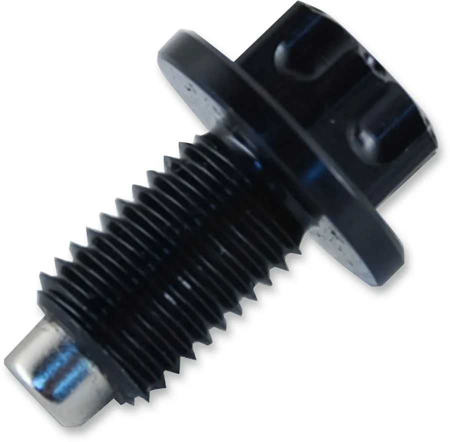 Suzuki Hayabusa [PSR] - magnetic oil drain screw