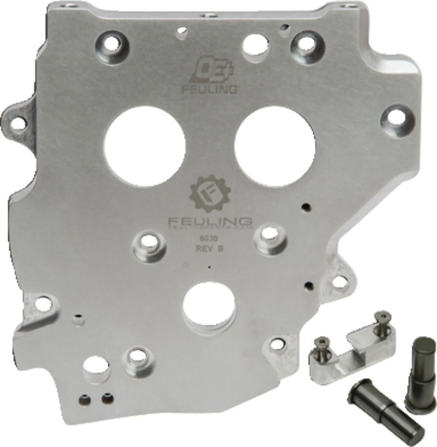 Harley-Davidson FXDLI 1450 EFI Dyna Low Rider [2005] - OE+ camshaft plate - type: chain - picture 1