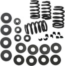 Harley-Davidson XR 1200 X [2011-2012] - 0,585" Ventilfedersatz – Bild 2