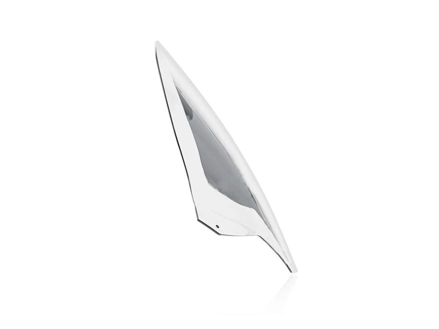 Aprilia Tuono 660 [WRS] - windshield