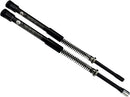 Harley-Davidson Fxdwg 1690 Dyna Wide Glide [2013, 2014-2017] - Legend AXEO Performance front suspension - picture 3