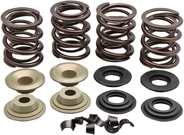 harley davidson flfb [KIBBLEWHITE] – Racing valve spring kit
