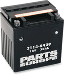 BMW F 650 GS Dakar [PARTS EUROPE] – Parts Europe Batterie