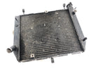Yamaha YZF R1 RN04 [2000] - Water Cooler Radiator-1