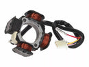Aprilia RS 250 [101 Octanne]-alternator stores-1