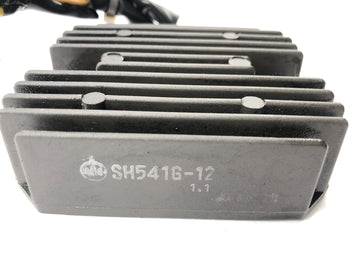 Aprilia RST 1000 Futura [2002] - Control of Tension Regulators Rectification - 0