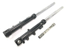 Triumph Daytona 900 T300 [1996] - Fork telescopic fork stanchions 43mm with axle-2