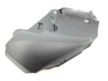 Triumph Street Triple R 675 D67LD [2010] - frame coverage left - 0