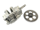 Aprilia RSV4 1000 [2010] - Oil pump-1