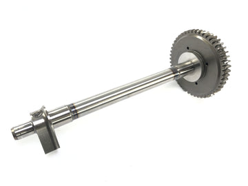 Aprilia RSV4 1000 [2010] - Balance shaft