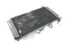 KTM RC 125 [2016] - Radiator water cooler cooling system radiator with fan-2