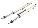 BMW R 1100 GS 259 [1995] - Telescopic fork with telelever axle-2