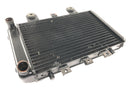 Triumph Thunderbird 900 T309RT [1995] - Radiator water cooler radiator cooling system-2