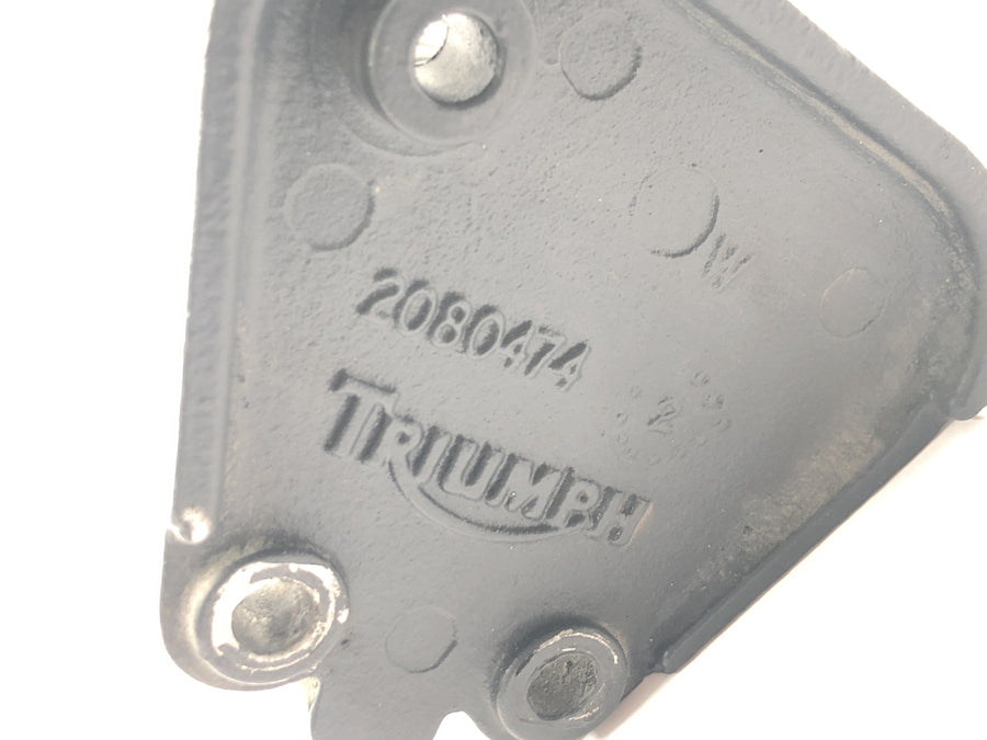 Triumph Tiger 955i 709EN [2003] - Driver's footrest left with holder