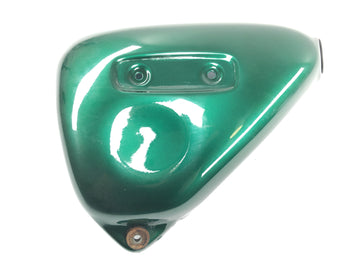 Triumph Thunderbird 900 T309RT [1995] - Side panel left side cover cover