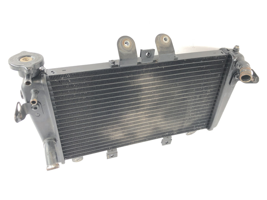 Triumph Speed Triple 1050 515NJ [2007] - Radiator Motorcycle Radiator Heat Exchanger