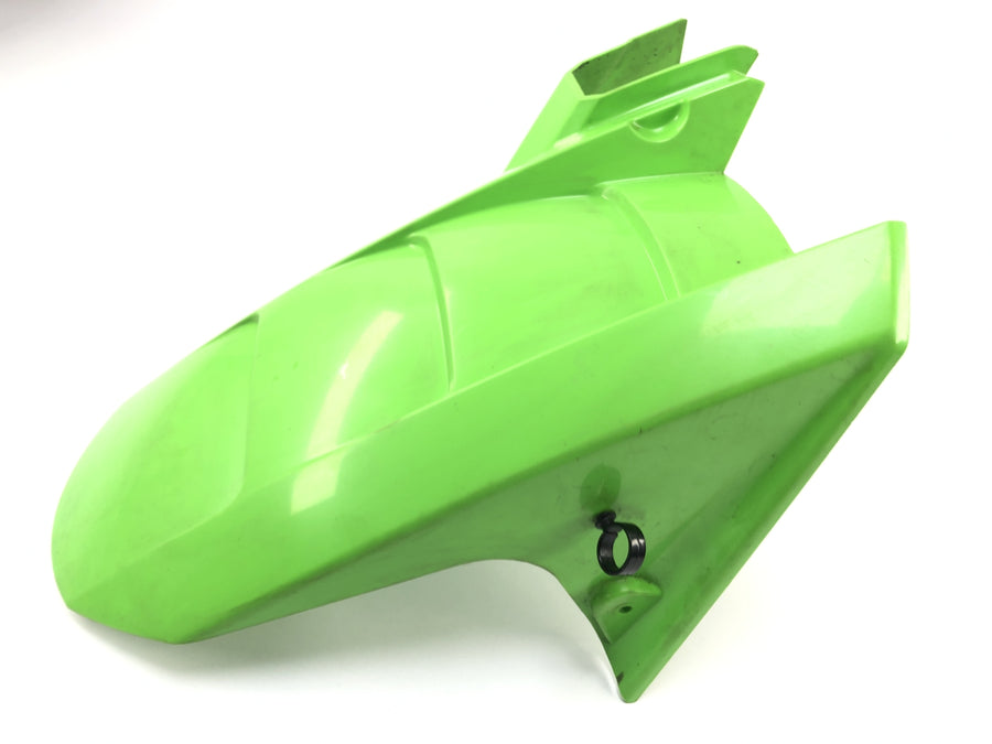 Kawasaki Z 1000 ZRT00A [2006] - Rear wheel cover rear fender