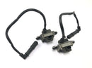 Moto Guzzi Stelvio 1200 8V [2016] - Ignition coil ignition unit ignition module with ignition cable set-2
