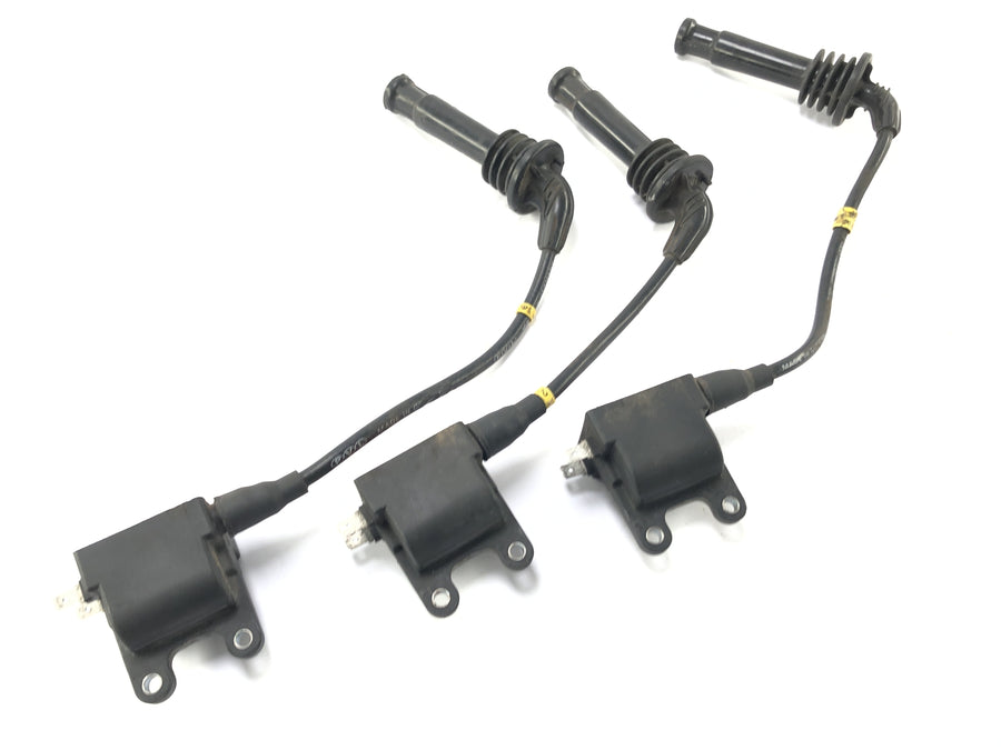 Triumph Thunderbird 900 T309RT [1996] - Ignition coils with connector