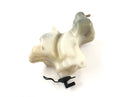 Honda CBR 1000 F SC24 [1991] - Coolant expansion tank-1