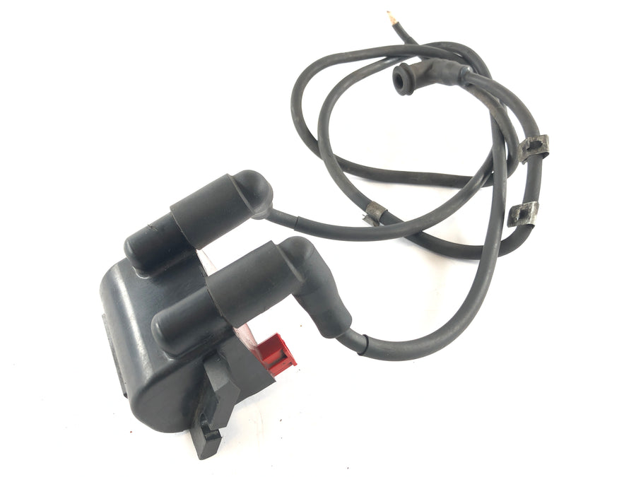 BMW R 1150 R R21 [2002] - Ignition coil with plug
