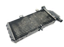 BMW F 650 GS R13 [2000] - Radiator water cooler engine radiator cooling radiator-3