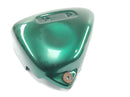 Triumph Thunderbird 900 T309RT [1995] - Side panel left side cover cover-2