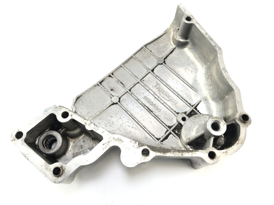 Triumph Thunderbird 900 T309RT [1996] - pinion cover engine cover