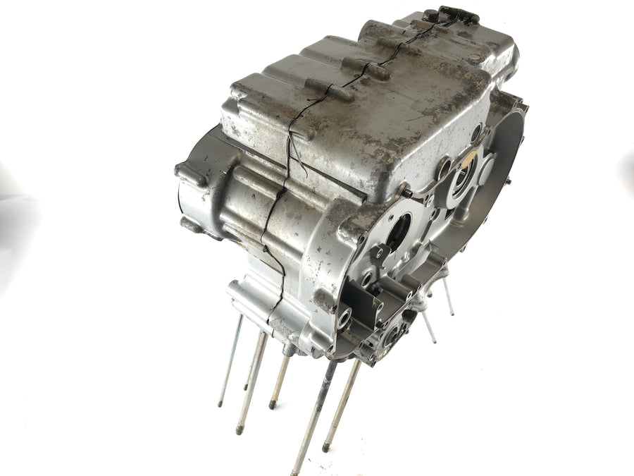 Kawasaki VN 1500 A [1995] - Empty engine housing