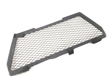 BMW R 1150 GS R21 [2002] - Radiator grille protective grille panel at the front - 0