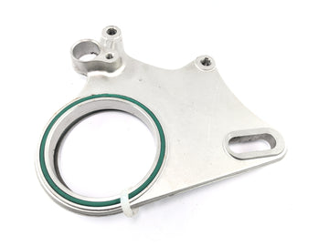 Ducati Monster S4R M4 [2004] - anchor plate for rear brake caliper mount - 0