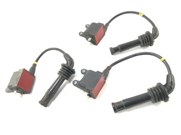 Triumph Thunderbird 900 T309RT [1996] - Ignition coils with connector - 0