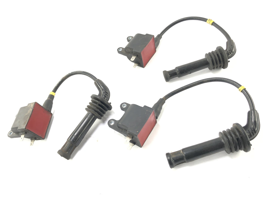 Triumph Thunderbird 900 T309RT [1996] - Ignition coils with connector