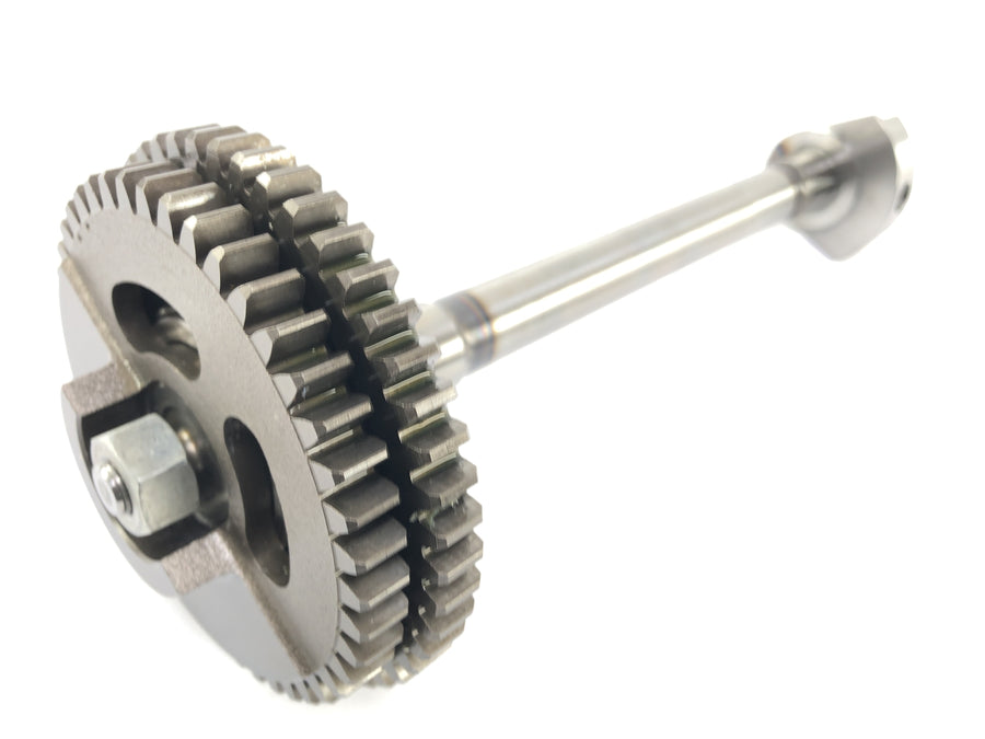 Aprilia RSV4 1000 [2010] - Balance shaft