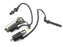 HONDA VTR 1000 SP 1 SC45 [2001] - Ignition coil pair of ignition coils double ignition coil ignition module-1