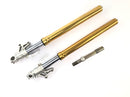 Benelli TNT 1130 [2009] - Telescopic fork with axle-1