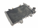 Triumph Daytona 900 T300D [1996] - Radiator water cooler cooling system-4