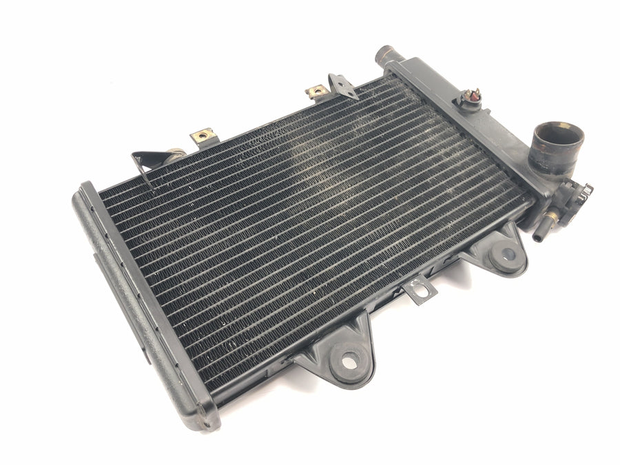 Triumph Daytona 900 T300D [1996] - Radiator water cooler cooling system