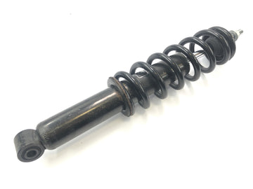 BMW R 1150 RT R22 [2001] - Front shock absorber strut Telelever - 0