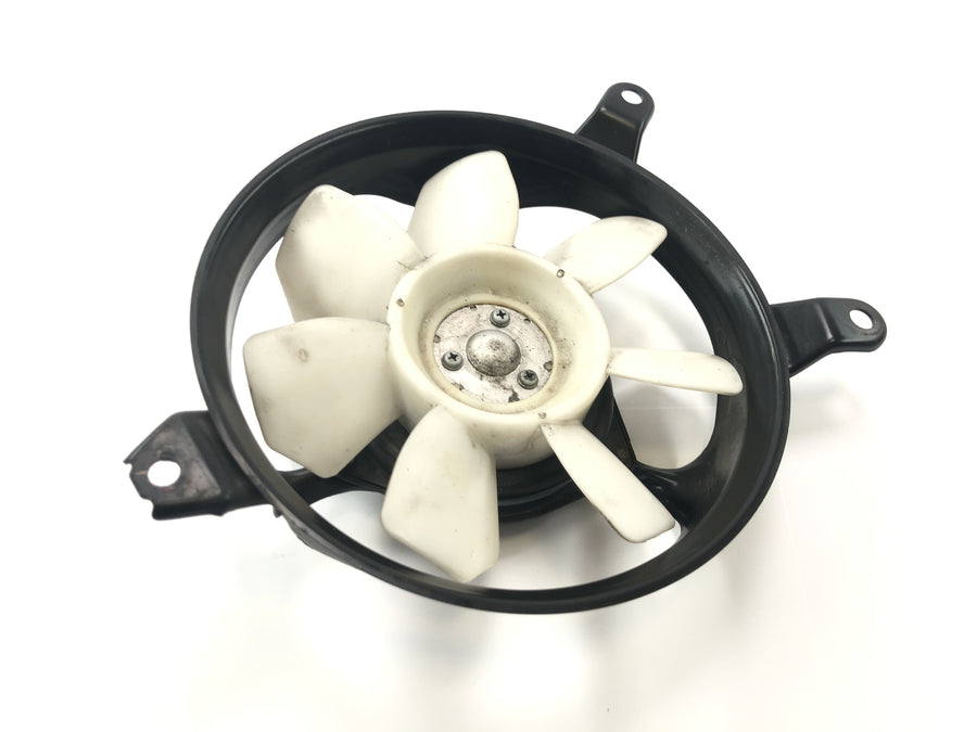 Triumph Tiger 955i 709EN [2003] - Fan radiator fan electric fan