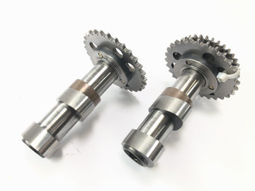 Aprilia RST 1000 Futura [2002] - camshafts set at the back of the entrance camshaft and outskirting wave wave