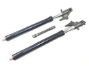 Aprilia RSV 1000 RP Mille [2001] - Fork telescopic fork with axle-12