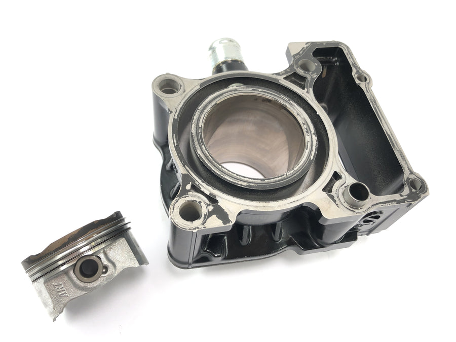 Kawasaki Ninja 125 BX125B [2024] - cylinder with pistons