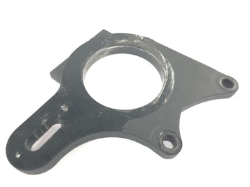 TRIUMPH DAYTONA 955I T595 [1998] - Brake anchor plate - 0