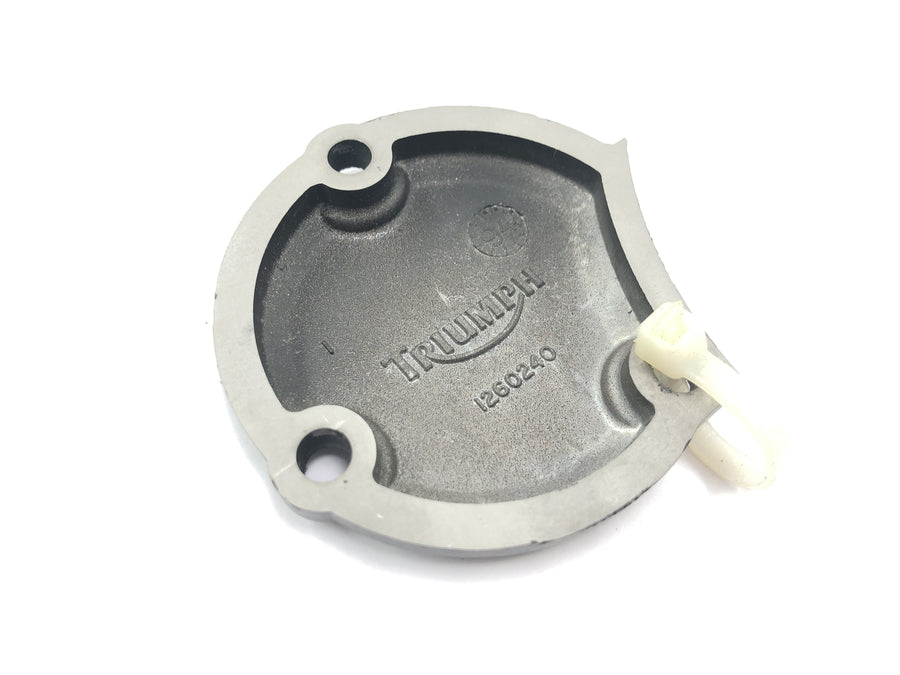 Triumph Daytona 900 T300D [1996] - engine cover right